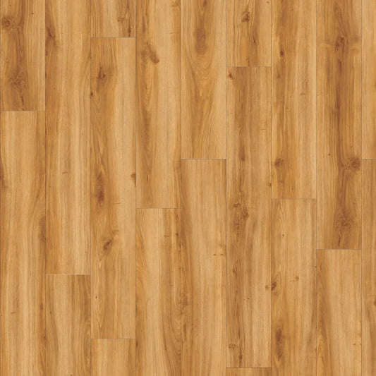 Moduleo Select