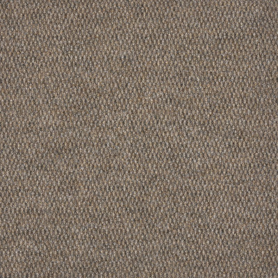 Berberpoint 920