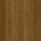 Virtue