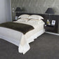 Hilton 4M 59oz