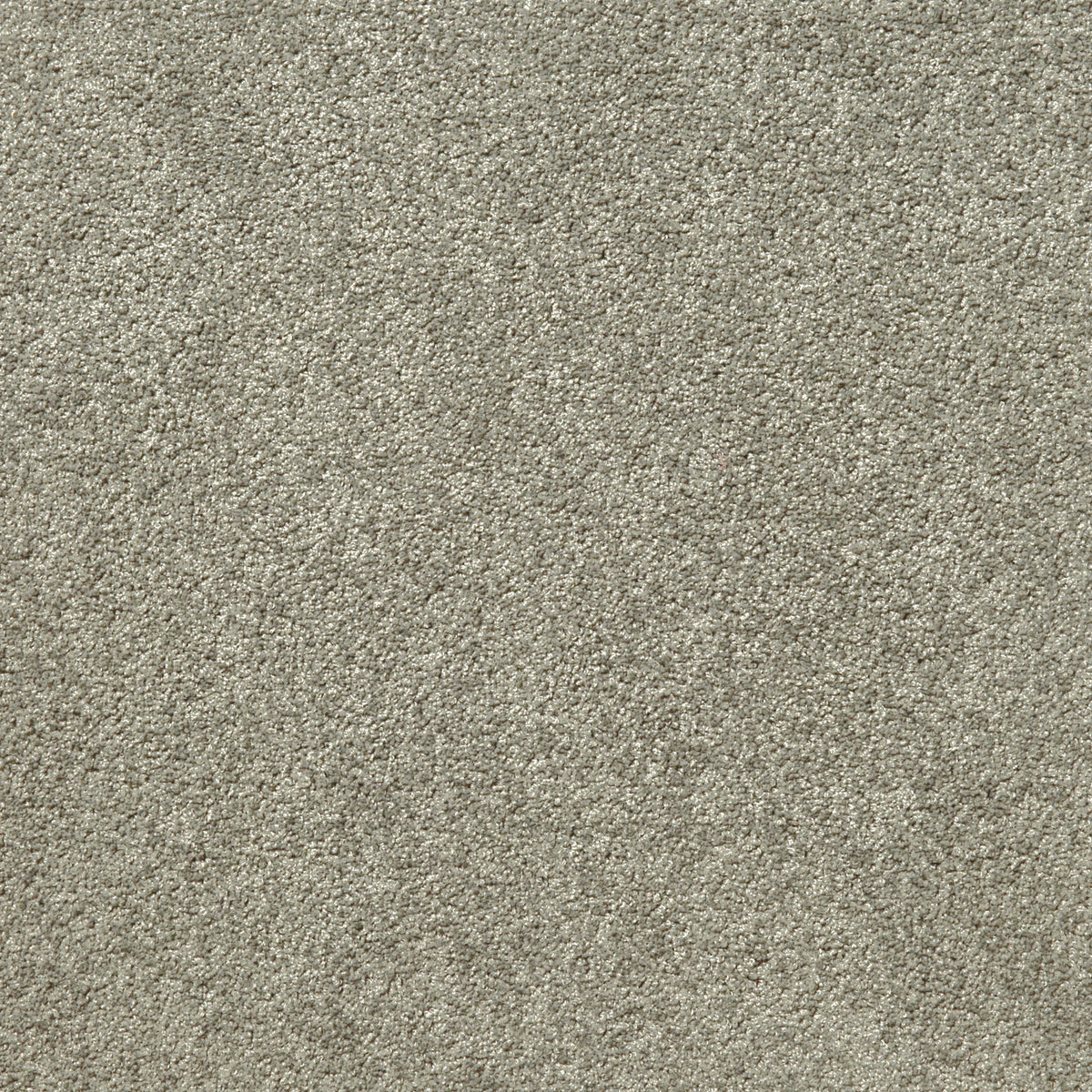 Empire 36oz – Alibaba’s Flying Carpets