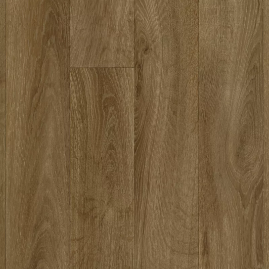 Iconik 240