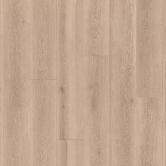 Iconik 240