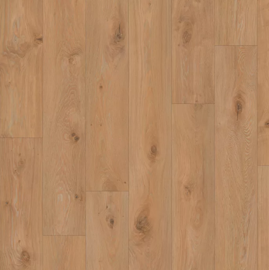 Iconik 240