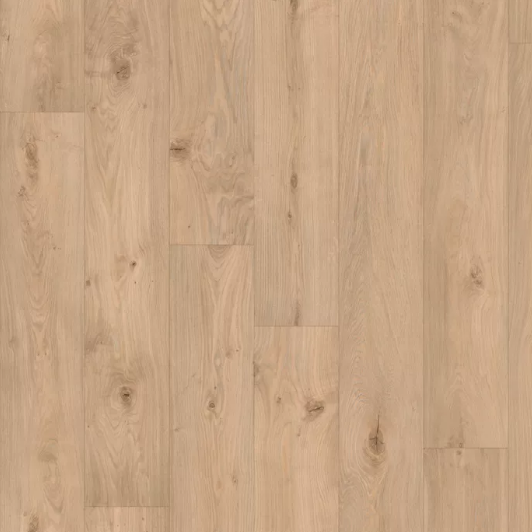 Iconik 240