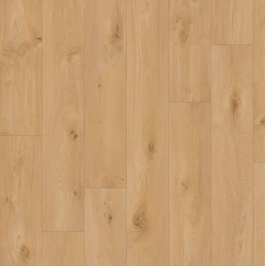 Iconik 240