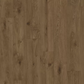 Iconik 240