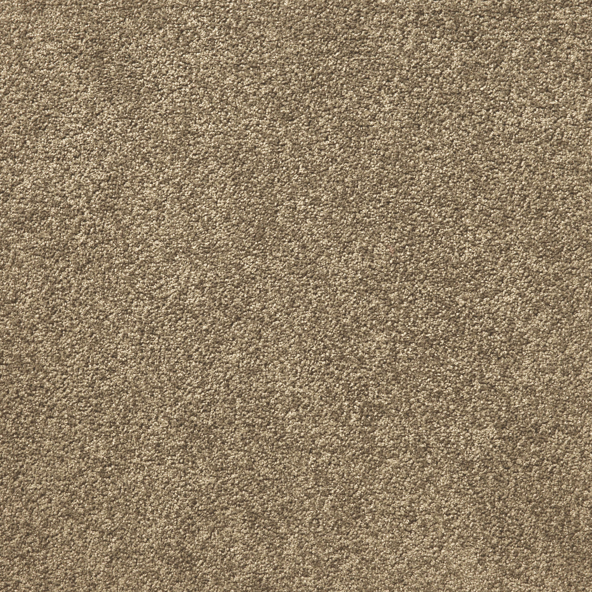 Liberty 26oz - Spice 2.8x3.66m