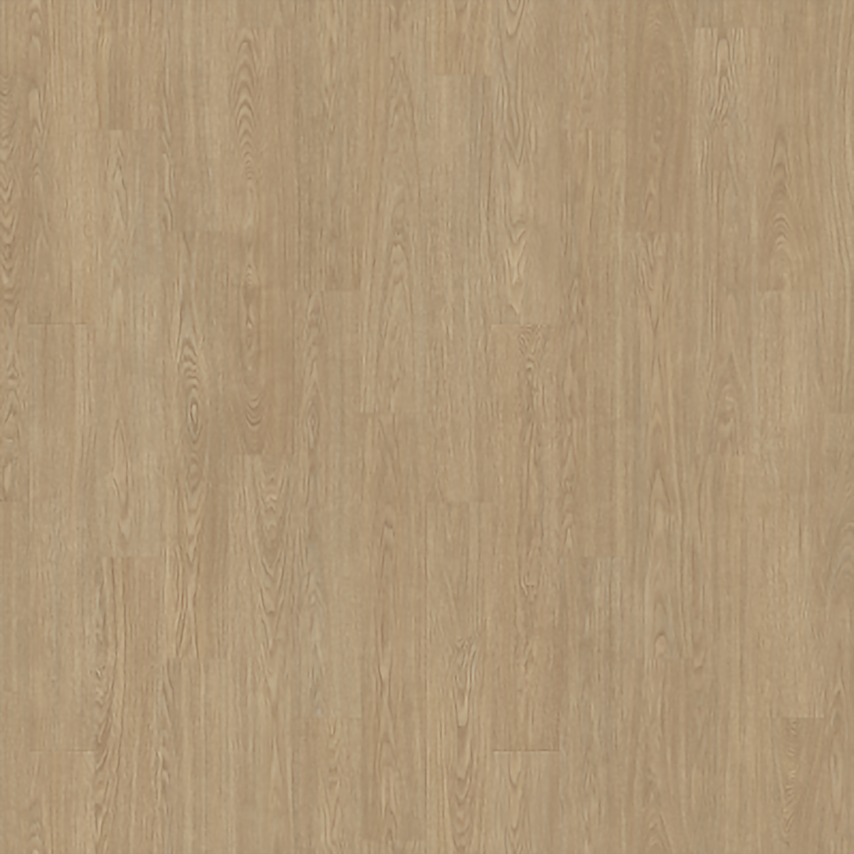 Roam - Oiled Ash Roll (cuts available)