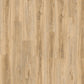 Moduleo Transform