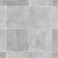 Reflex