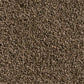Coastal 28oz