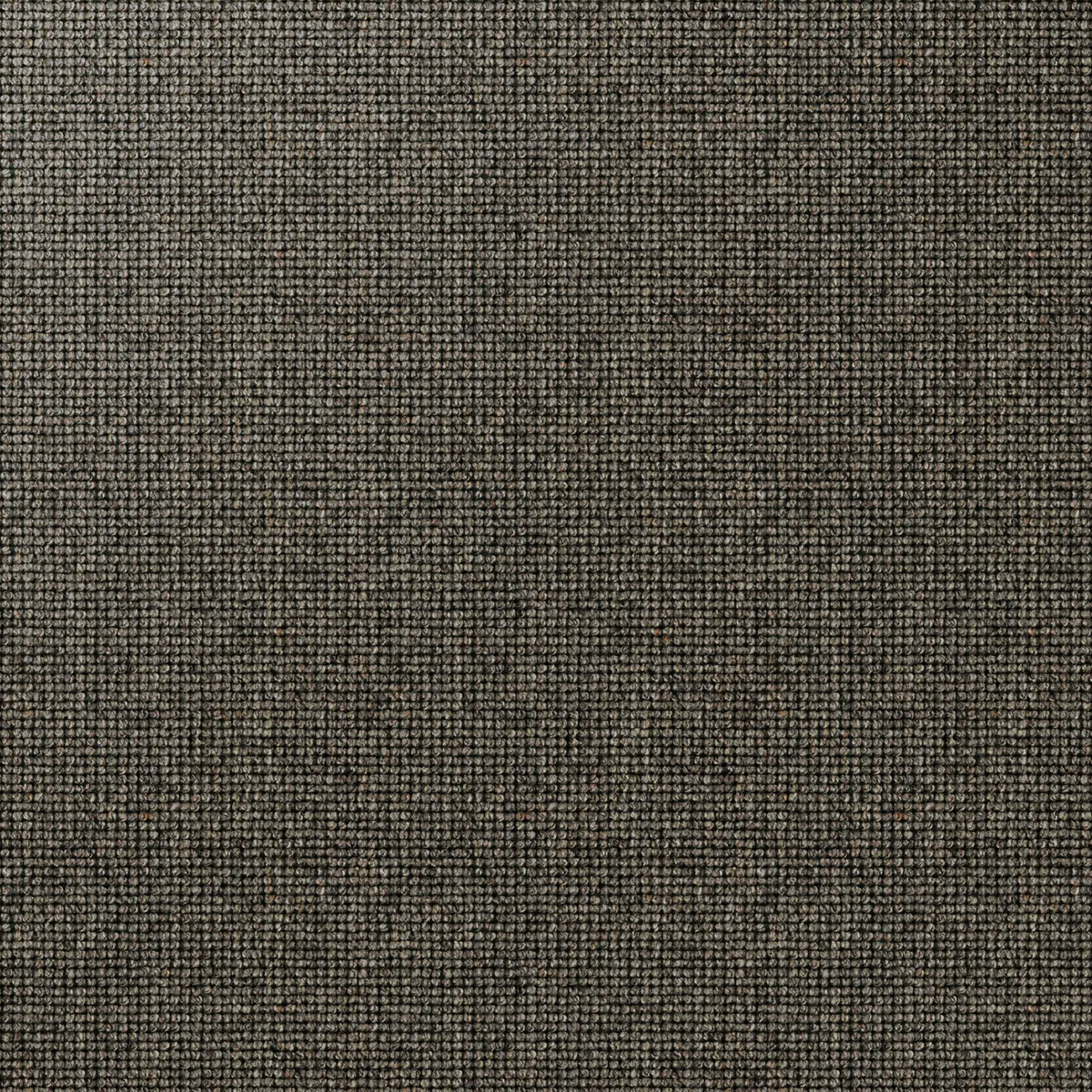 Pebble Grid - Basalt 100% NZ Wool 4.3x3.66m