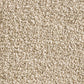 Coastal 28oz